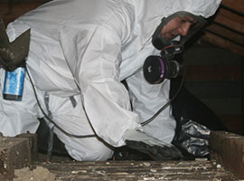 Asbestos Abatement